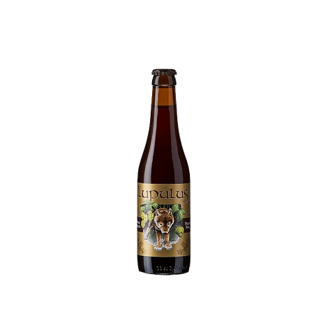 Lupulus Bruin Beer 